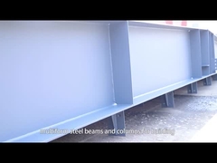 철강 구조 건물 제조 철강 전공 창고 헝가리 작업장